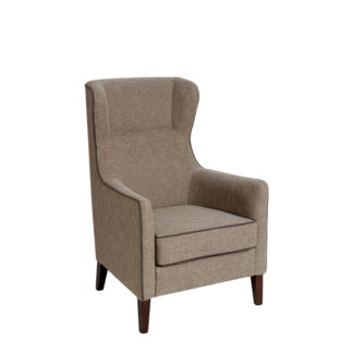 DENIA Low Back Armchair | High Back Care Chairs | SH1